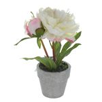 White Potted Peony Realistic Artificial Plant